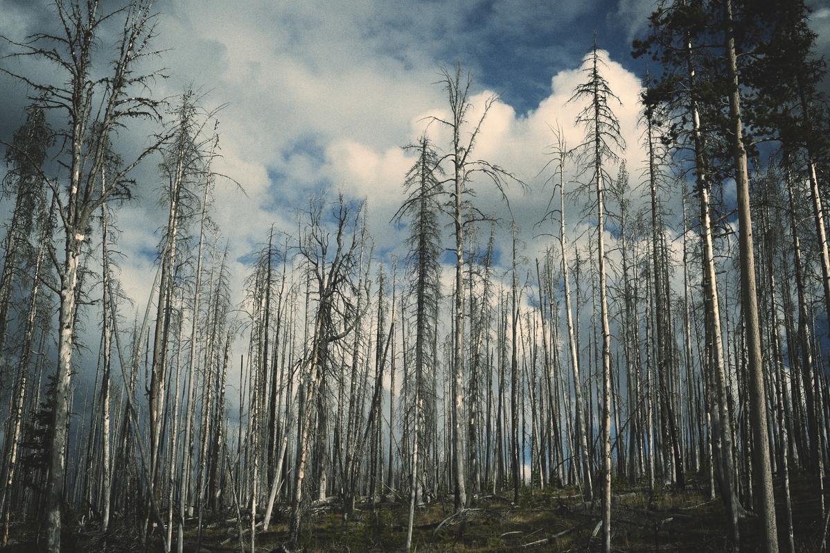 Natus alias beatae vero laborum